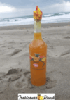 Tropicanas